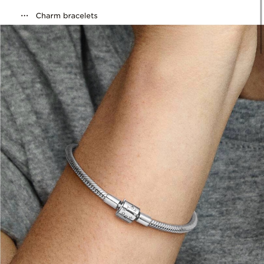 Pandora STERLING SILVER  starter charm bracelet. Comes with one charm BEAUTIFUL